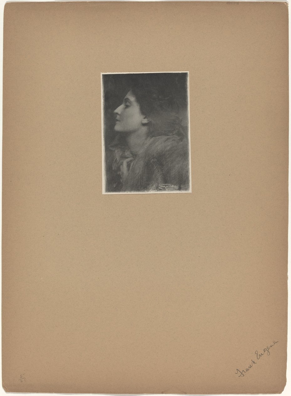 Pani z Charlotty, 1901. autorstwa Frank Eugene