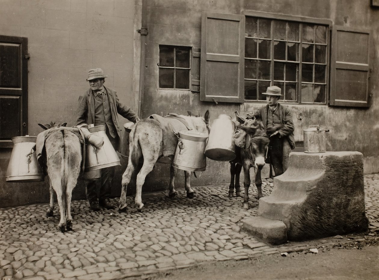 Mleczne Osły, ok. 1890. autorstwa Frank Meadow Sutcliffe