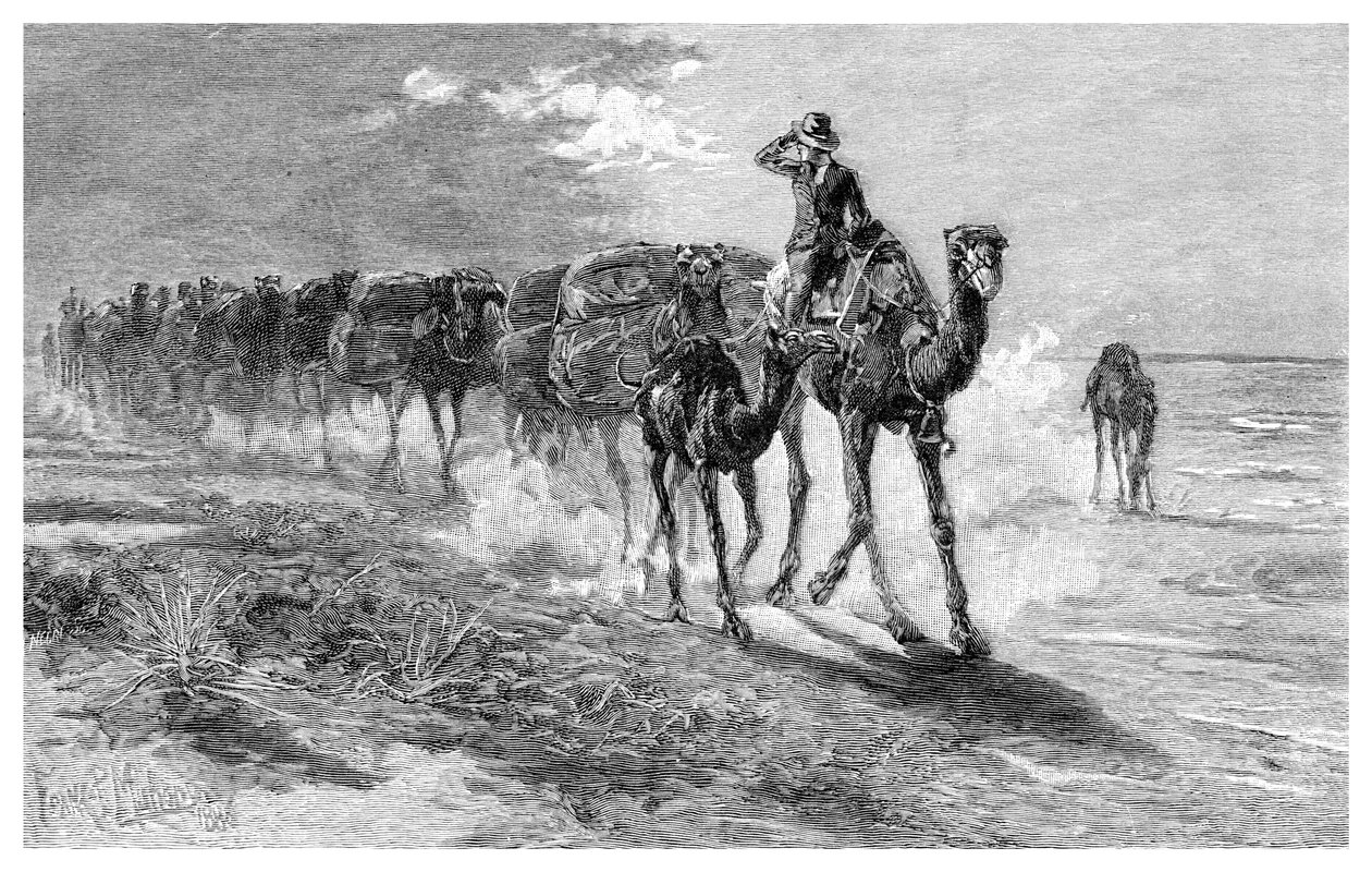 Wielbłądy niosące wełnę, 1886. autorstwa Frank P. Mahony