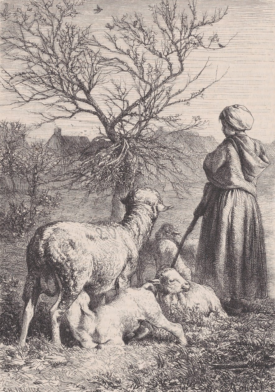 Pasterka, ca. 1852. autorstwa François Rouget