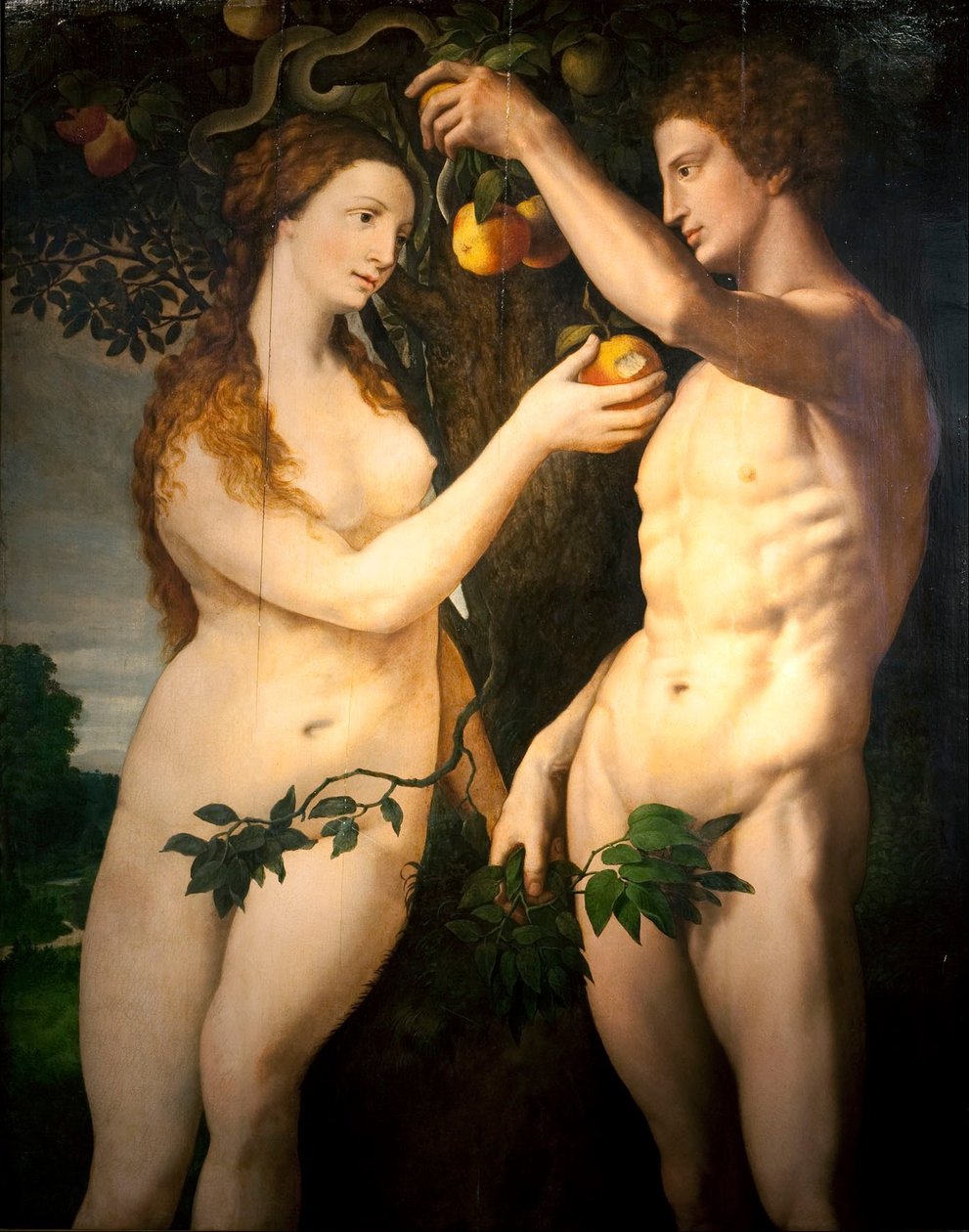 Upadek człowieka autorstwa Frans Floris