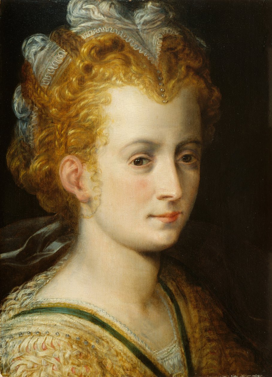 Głowa młodej kobiety, ok.1555 autorstwa Frans Floris