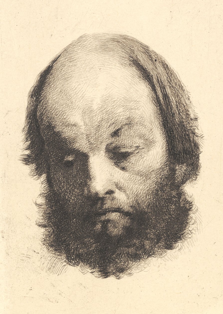 Czarnobrody, Garibaldi autorstwa Frans Schwartz