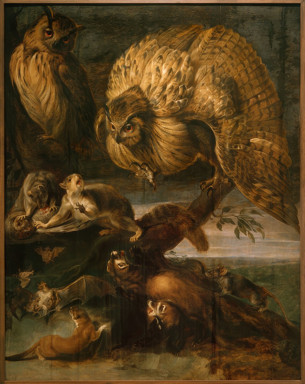 Zwierzęta nocy autorstwa Frans Snyders