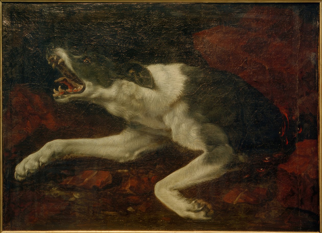 Ranny pies autorstwa Frans Snyders or Snijders