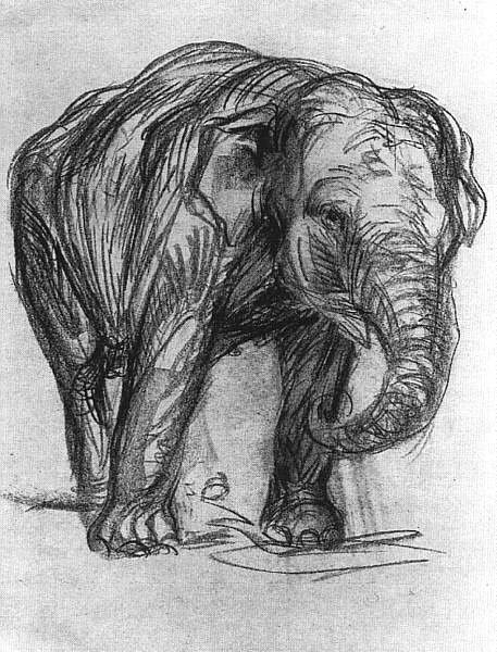 Słoń autorstwa Franz Marc