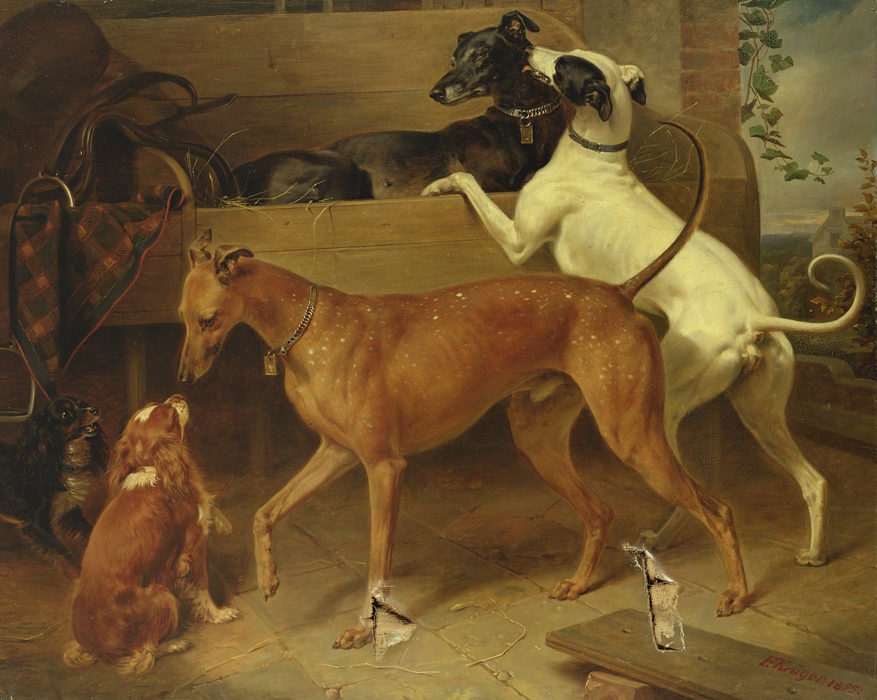 Psy Krugera, 1855 autorstwa Franz Krüger