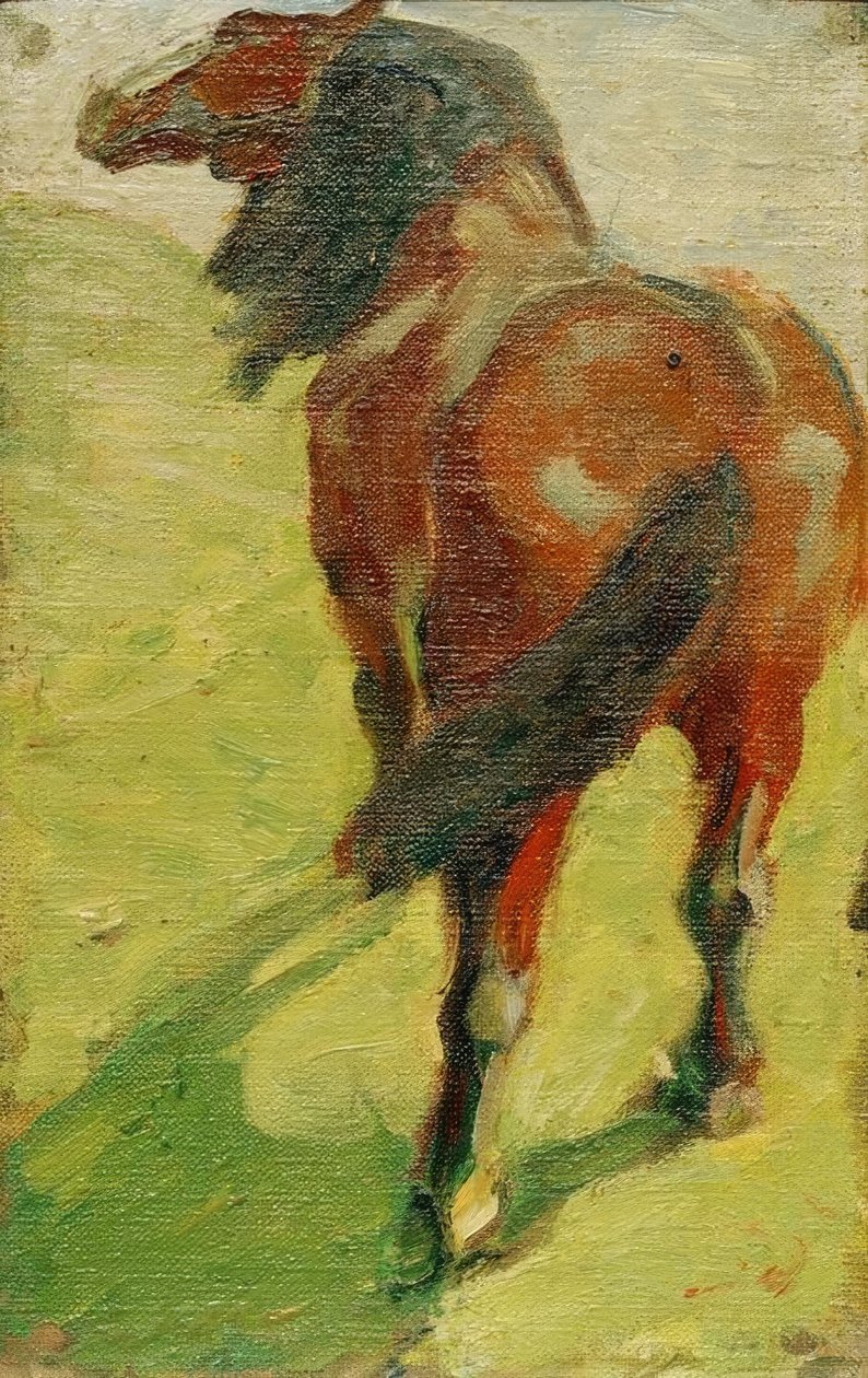 Studium konia autorstwa Franz Marc