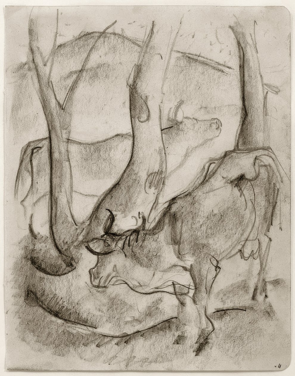 Dwie krowy pod drzewami autorstwa Franz Marc