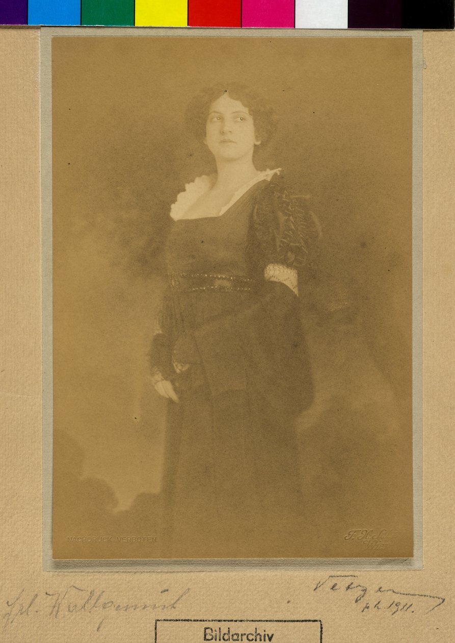 Wohlgemuth autorstwa Franz Xaver Setzer
