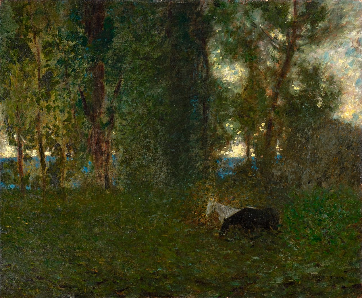 Pasące się konie autorstwa Franz von Stuck