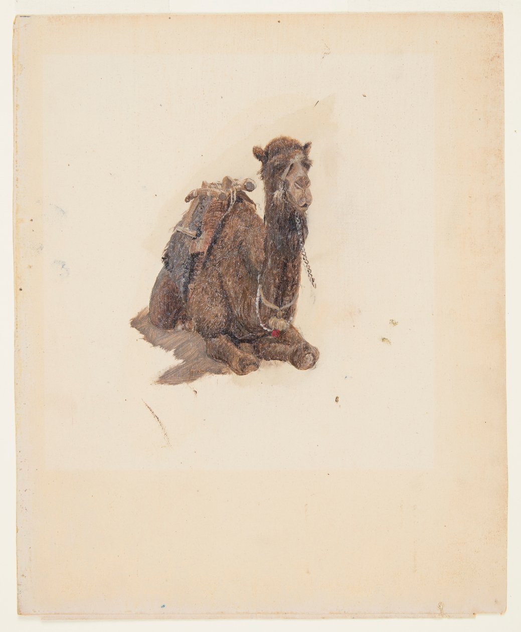 Przyczajony dromader autorstwa Frederic Edwin Church