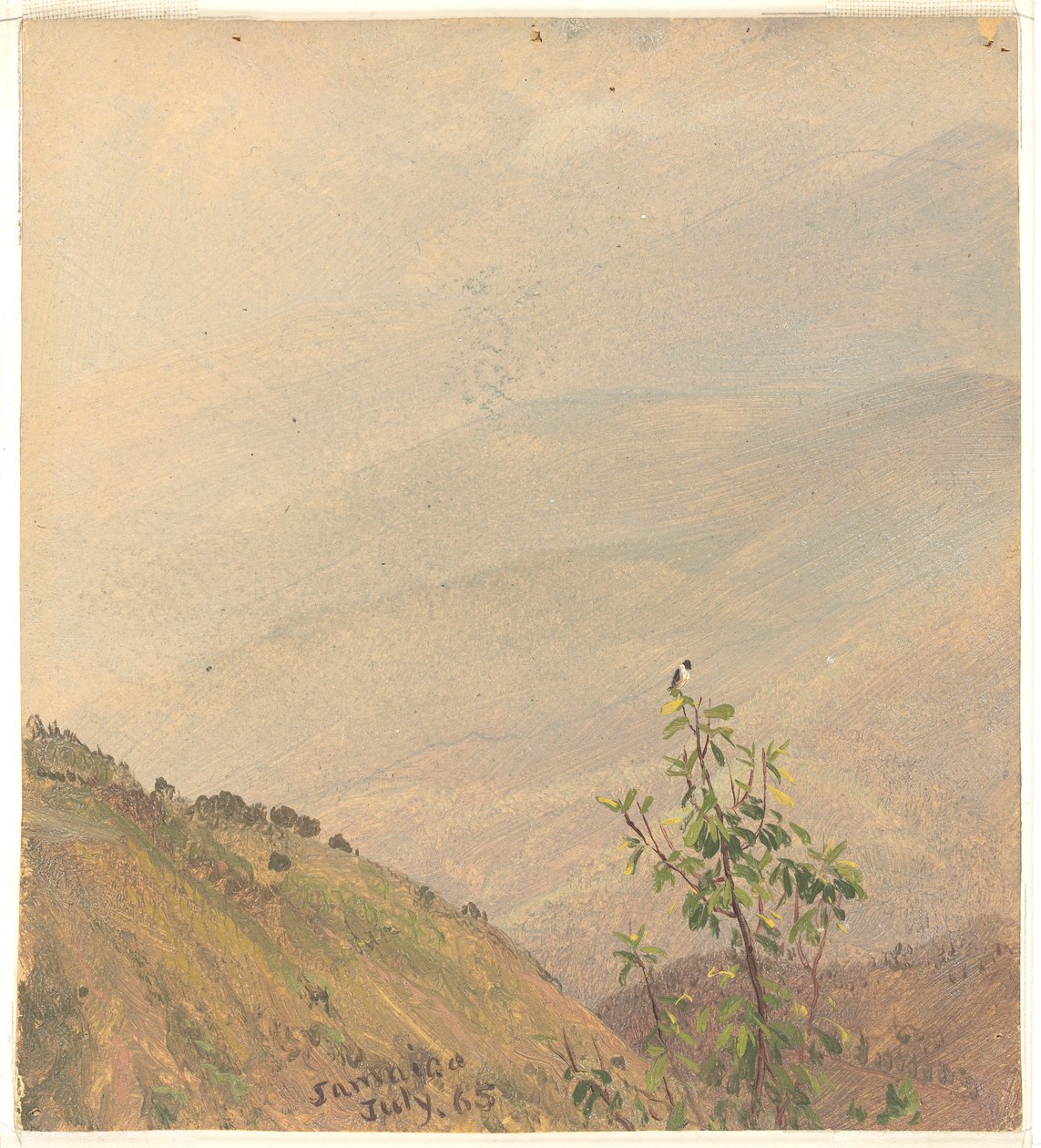 Odległe wzgórza, Jamajka autorstwa Frederic Edwin Church