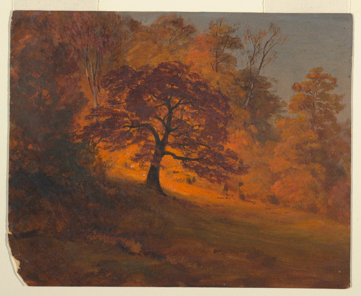 Rysunek, Jesienne liście, 1867 r. autorstwa Frederic Edwin Church
