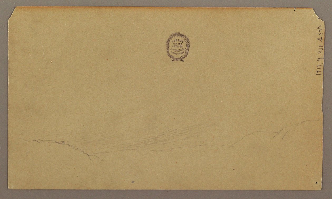 Rysunek, Szkice botaniczne, sierpień 1865 r. autorstwa Frederic Edwin Church