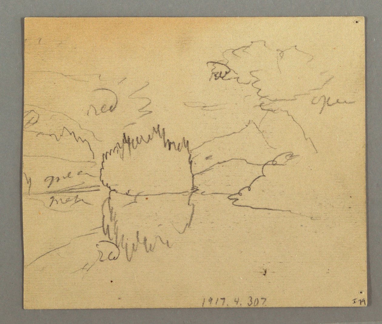 Rysunek, martwe drzewa, roślina, prawdopodobnie 1868 r. autorstwa Frederic Edwin Church