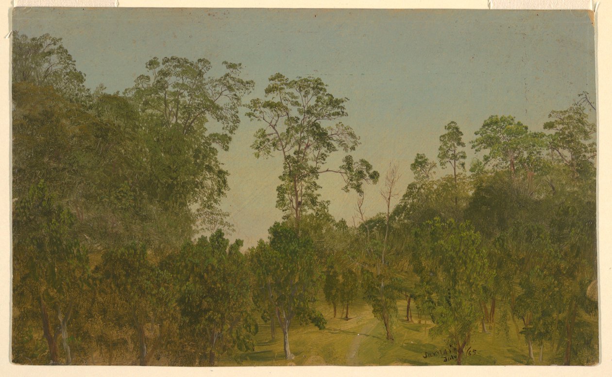 Rysunek, krajobrazy, lipiec 1865 r. autorstwa Frederic Edwin Church
