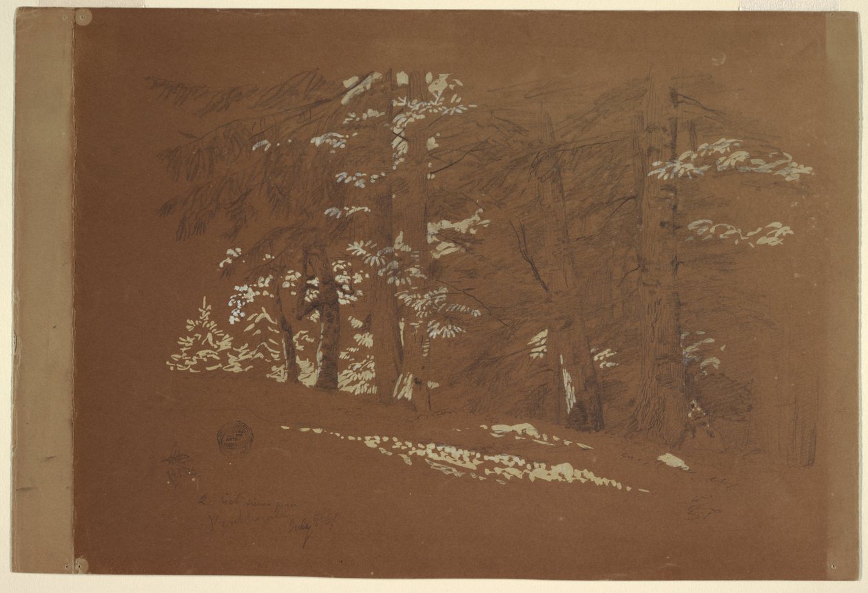 Rysunek, Drzewa, Berchtesgaden, Bawaria, 1868 r. autorstwa Frederic Edwin Church