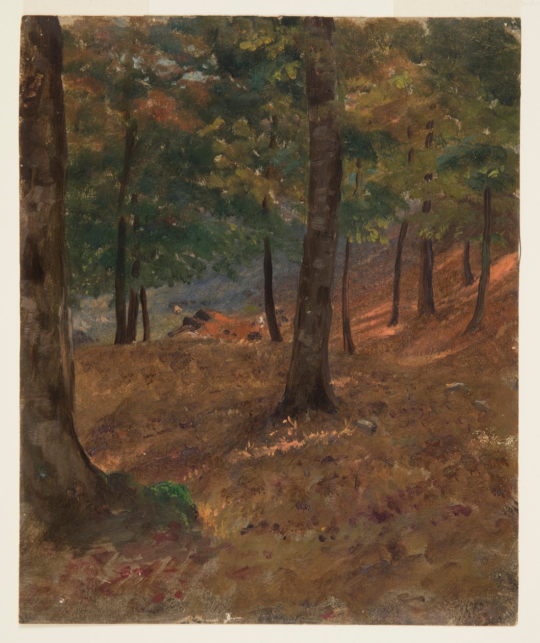 Rysunek, scena leśna, 1870-80 autorstwa Frederic Edwin Church
