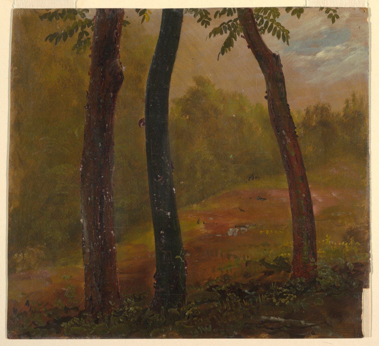 Rysunek, Scena w lesie, Jamajka, 1865 r. autorstwa Frederic Edwin Church