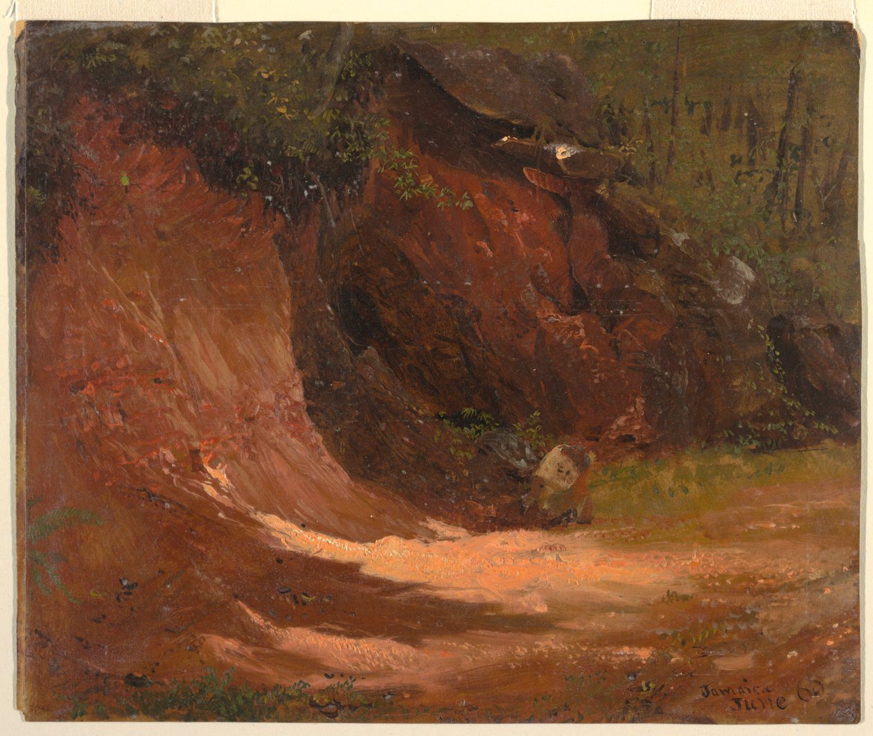 Rysunek, bank Woodland, Jamajka, czerwiec 1865 r. autorstwa Frederic Edwin Church