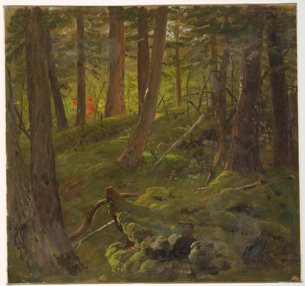 Las na Jamajce autorstwa Frederic Edwin Church
