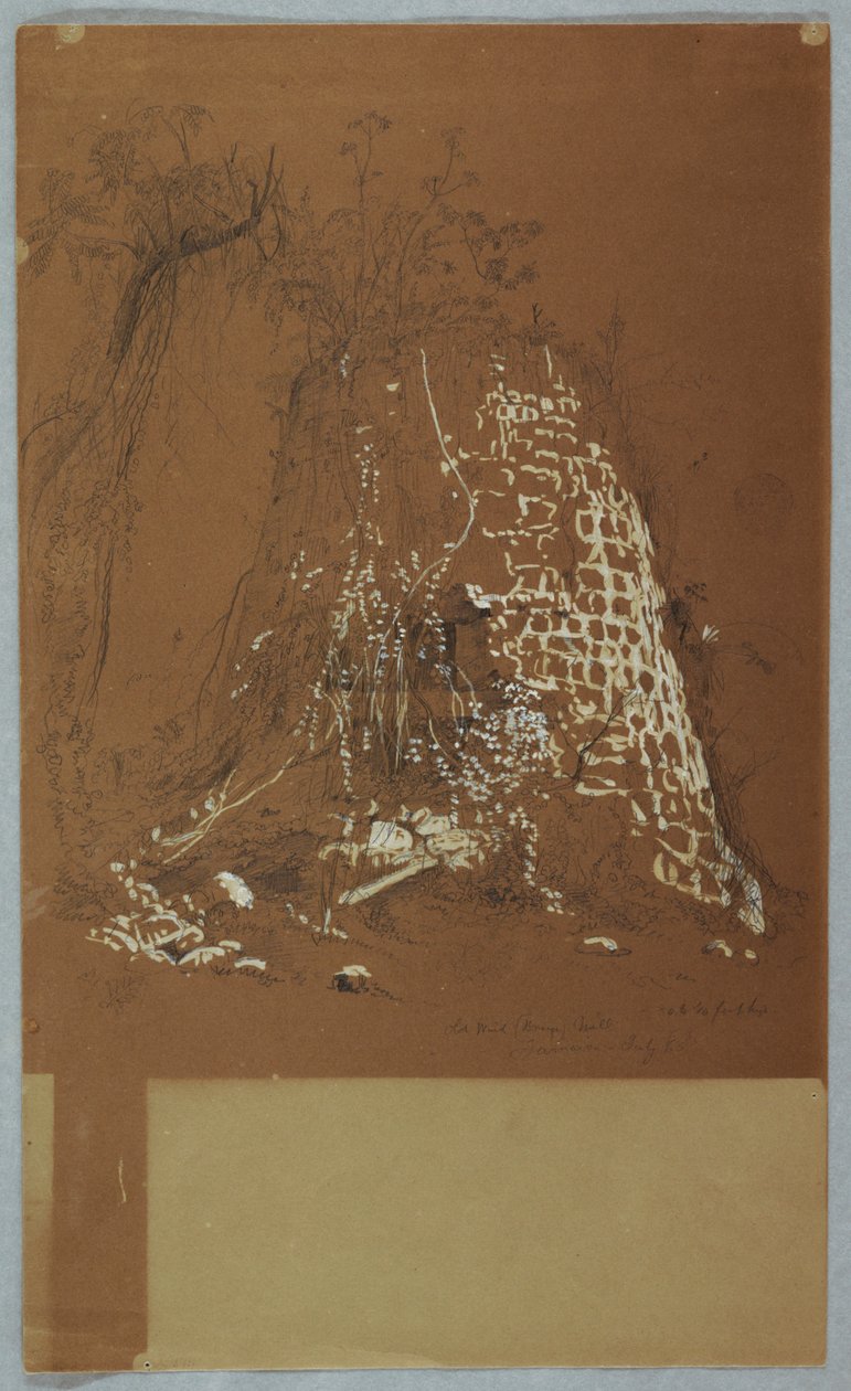 Stary wiatrak, Jamajka autorstwa Frederic Edwin Church