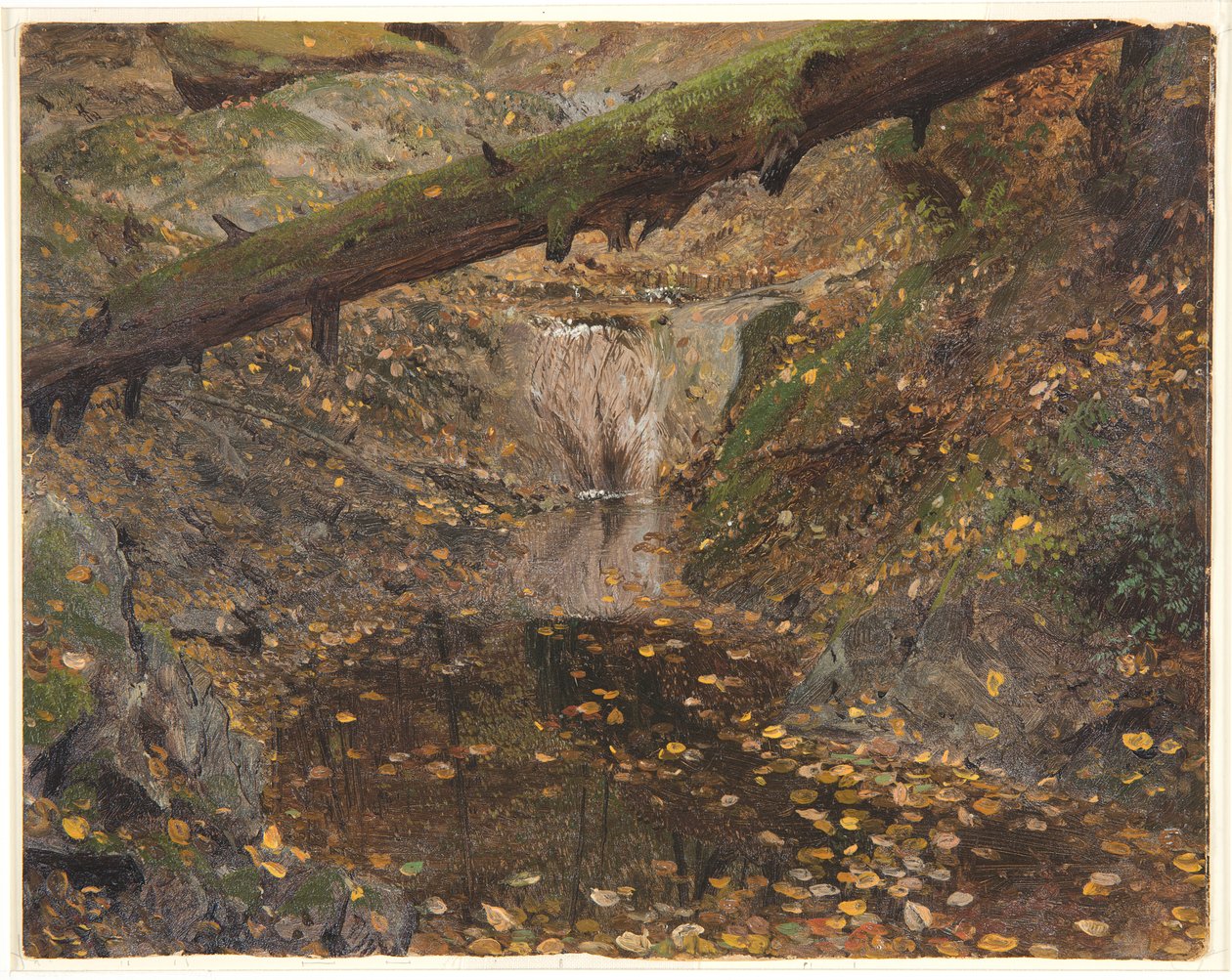 Woodland Stream, prawdopodobnie Mt. Desert, Maine autorstwa Frederic Edwin Church