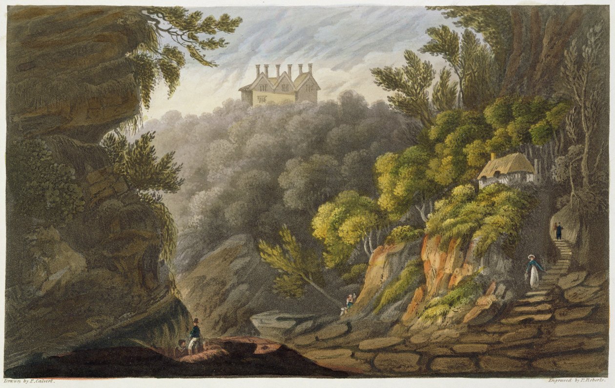 Shanklin Chine, z „Isle of Wight Illustrated, in a Series of Coloured Views”, grawerowane przez P. Robertsa, opublikowane 1846 (akwatinta) autorstwa Frederick Calvert