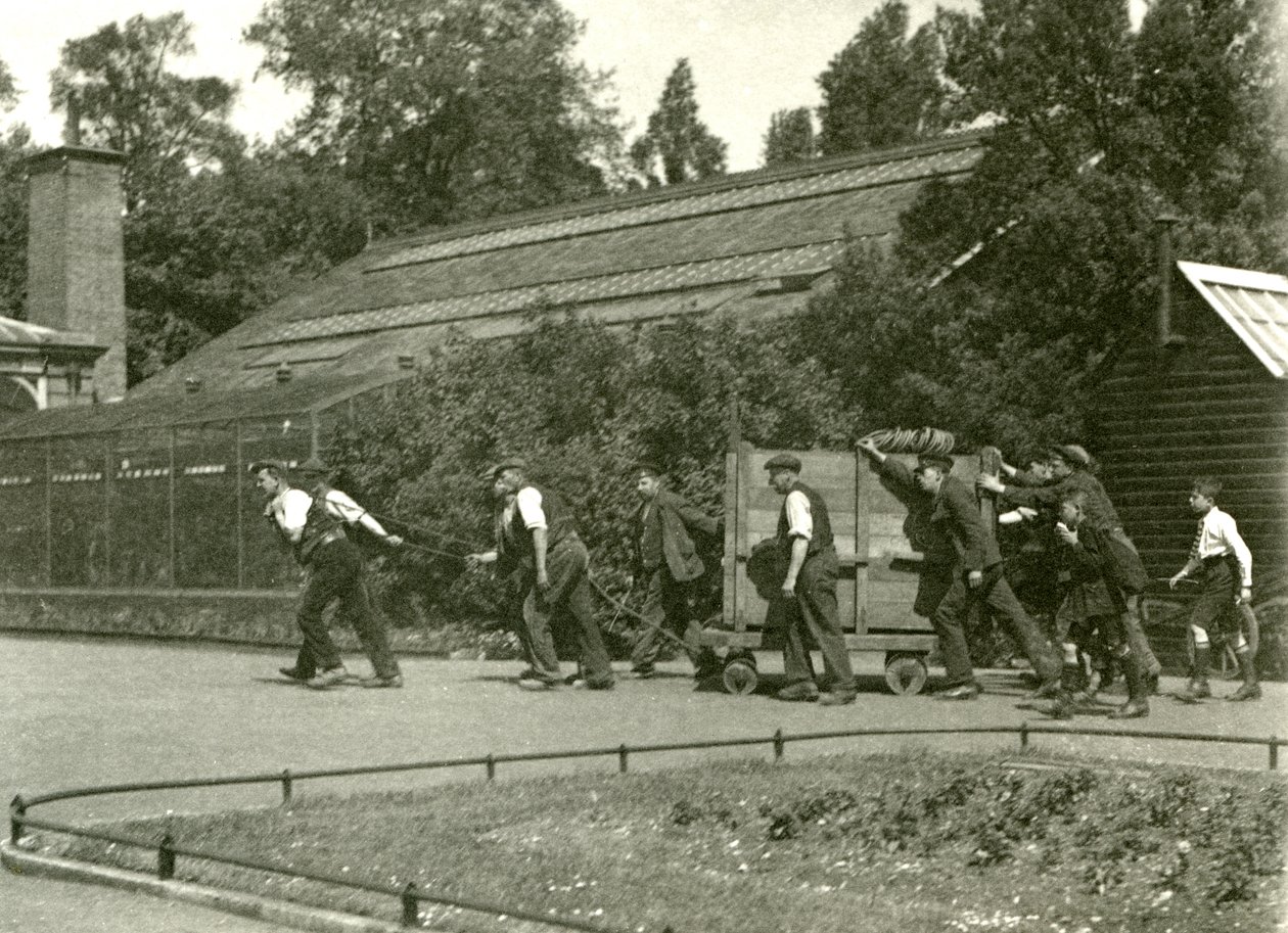 Grupa mężczyzn przenosząca lamparta w drewnianej skrzyni, a za nią dwóch chłopców, londyńskie zoo, 1922 (fot. bw) autorstwa Frederick William Bond