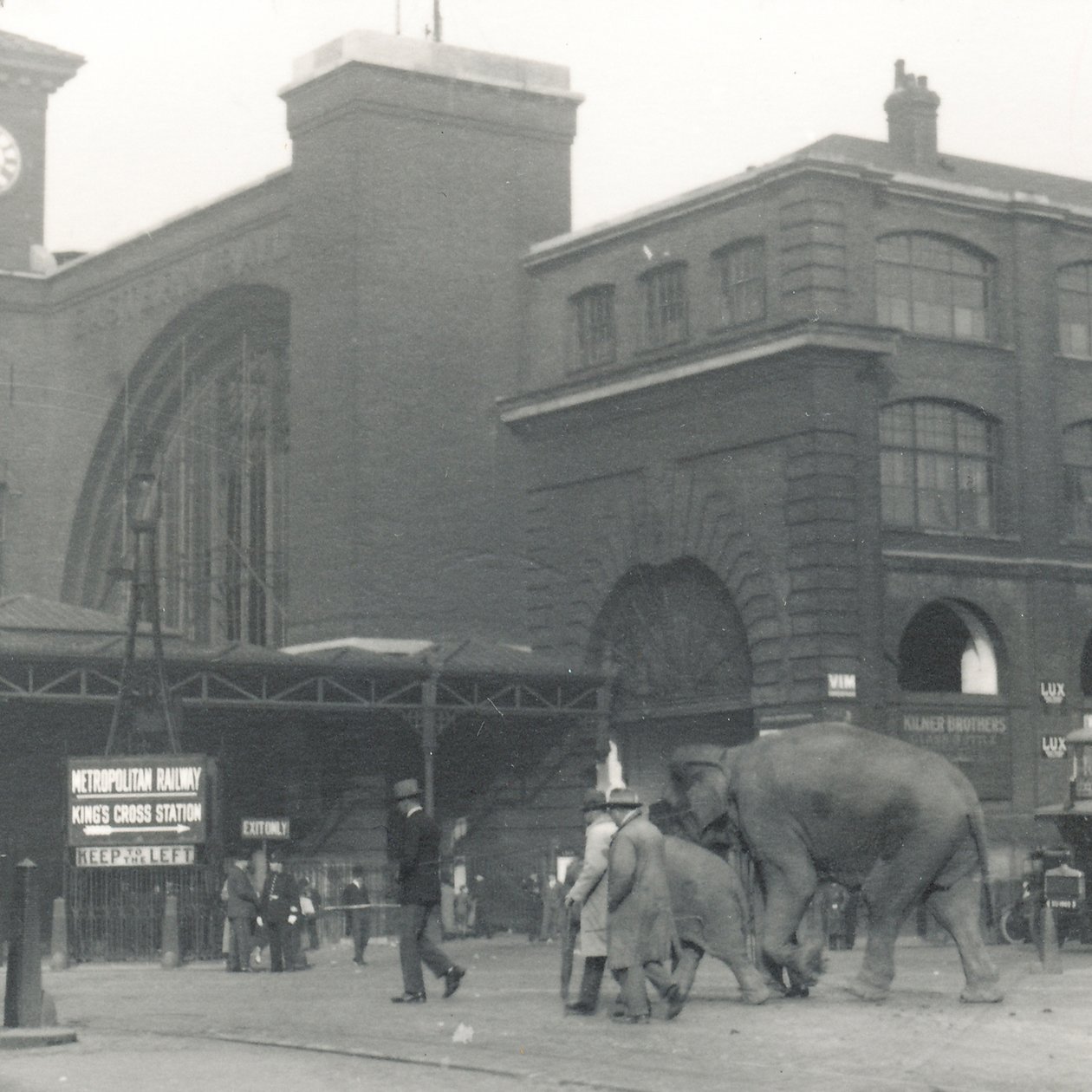 Słonie wychodzą z doków mijając stację Kings Cross w drodze do ZSL London Zoo, wrzesień 1927 r. autorstwa Frederick William Bond