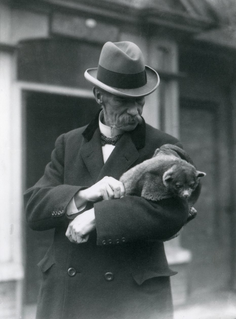 Reginald Innes Pocock F.R.S. trzyma kinkajou, londyńskie zoo, 1923 (fot. bw) autorstwa Frederick William Bond