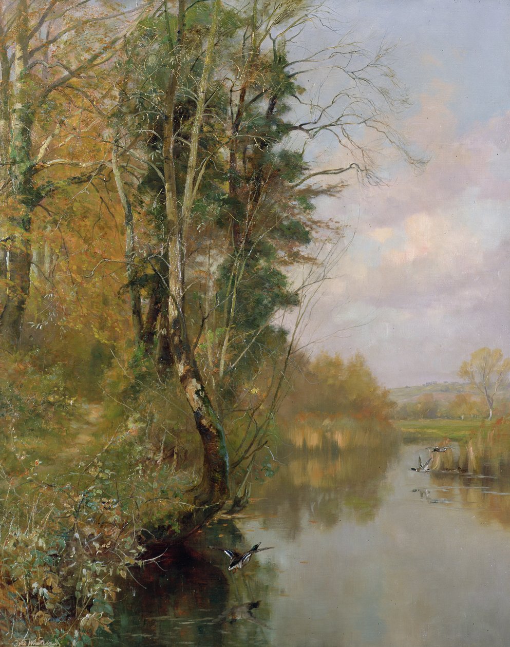 Rzeka Frome, Morton nr Dorchester, 1901 r. autorstwa Frederick William Newton Whitehead