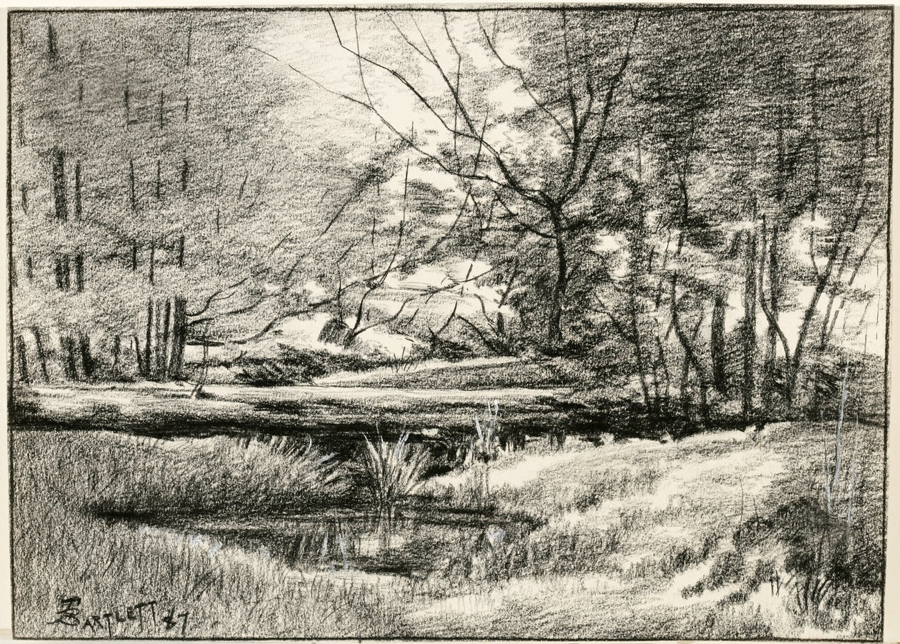 Basen w Adirondacks autorstwa Frederick Eugene Bartlett