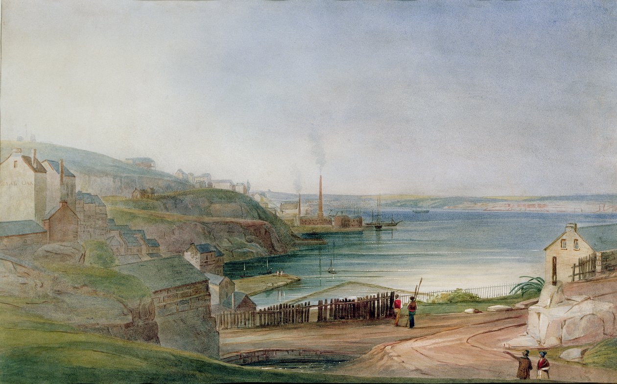 Darling Harbour z Millers Point autorstwa Frederick Garling