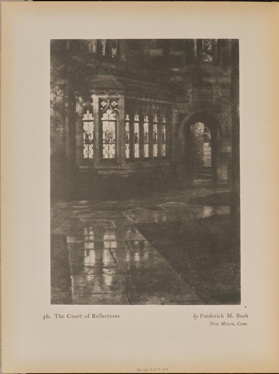 Sąd refleksji autorstwa Frederick M. Bush
