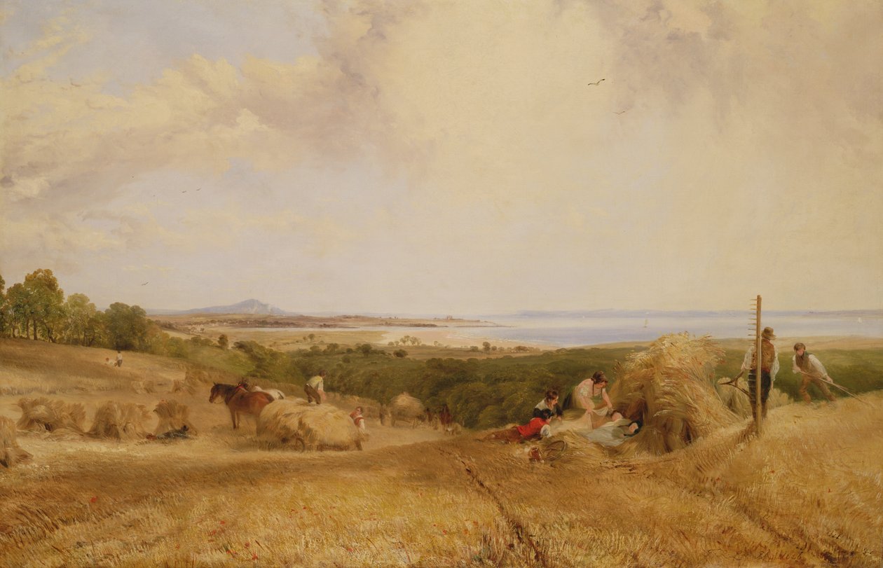 Pole żniwne, 1846 r. autorstwa Frederick Richard Lee