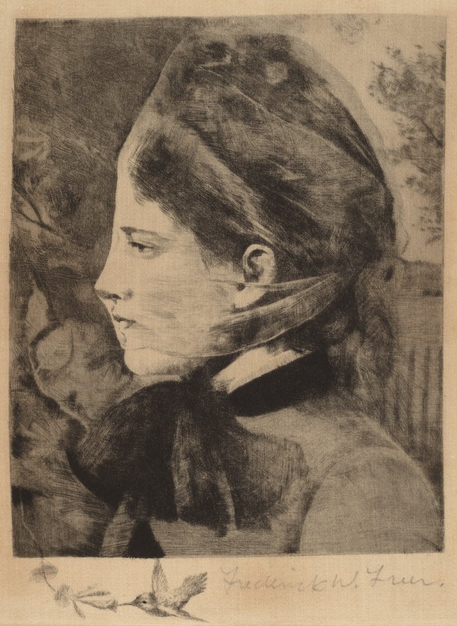 Wiciokrzew autorstwa Frederick W. Freer
