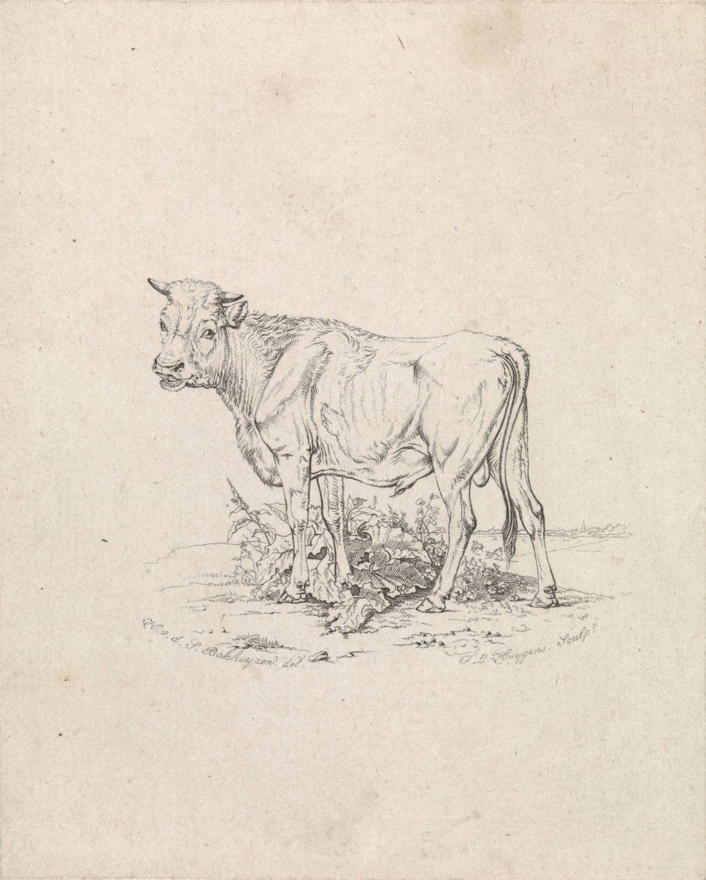 Szlaki autorstwa Frederik Lodewijk Huygens