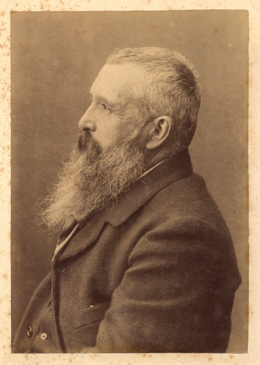 Claude Monet (1841-1926) początek XX wieku (druk albumowy) autorstwa French Photographer