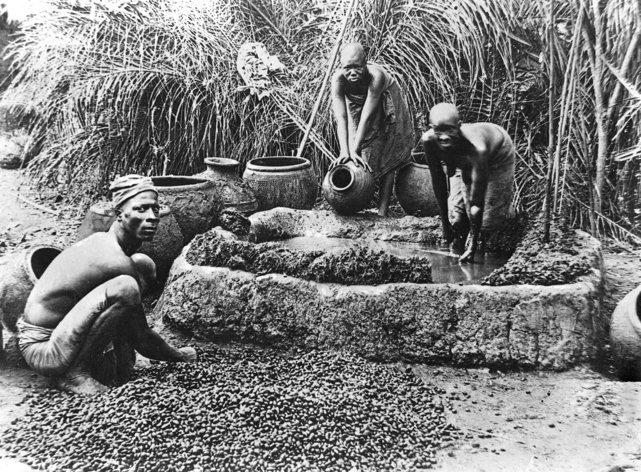 Produkcja oleju palmowego w Dahomeju, ok. 1900 autorstwa French Photographer