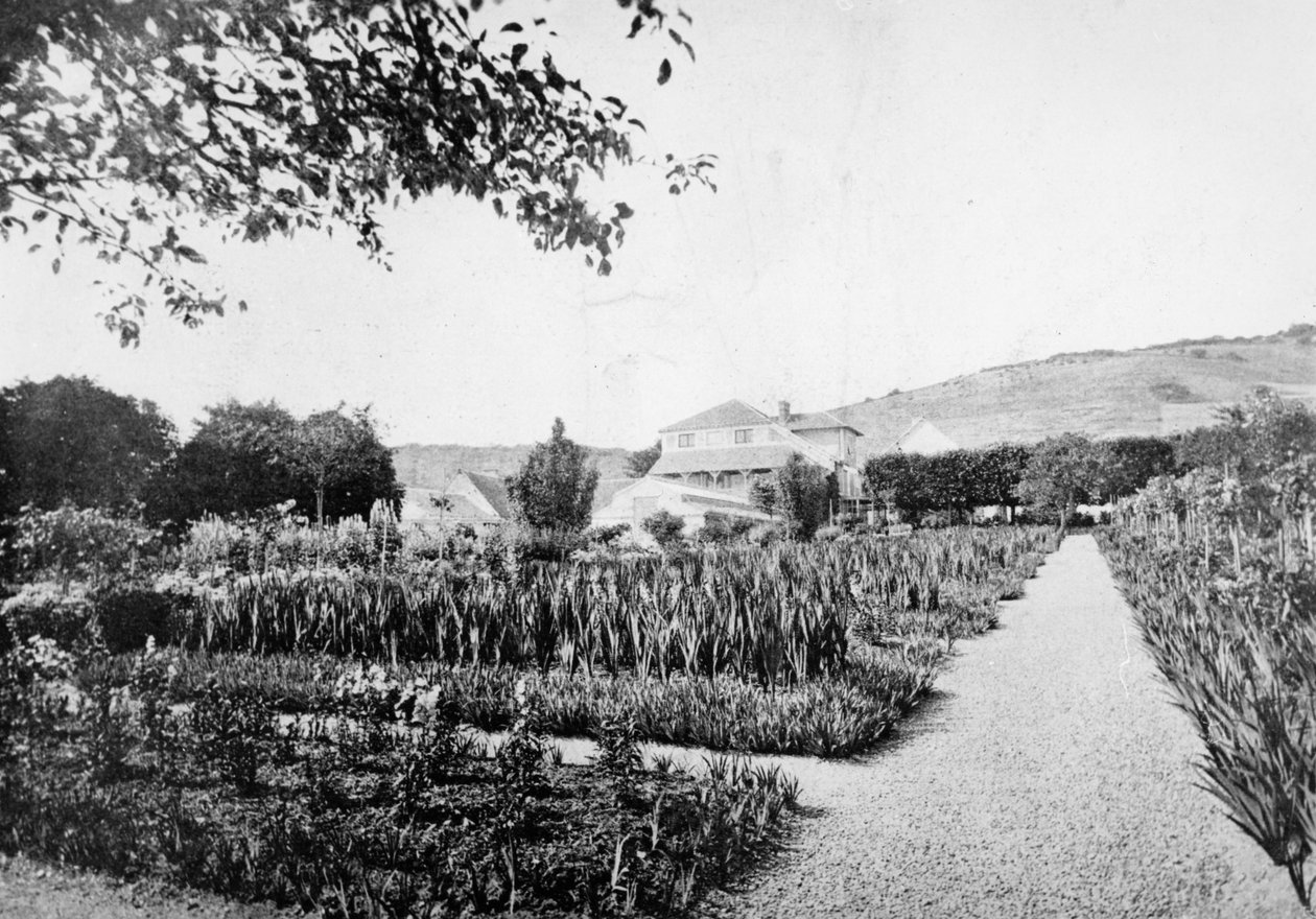 Ogród Moneta, Giverny, ok. 1908 r. autorstwa French Photographer