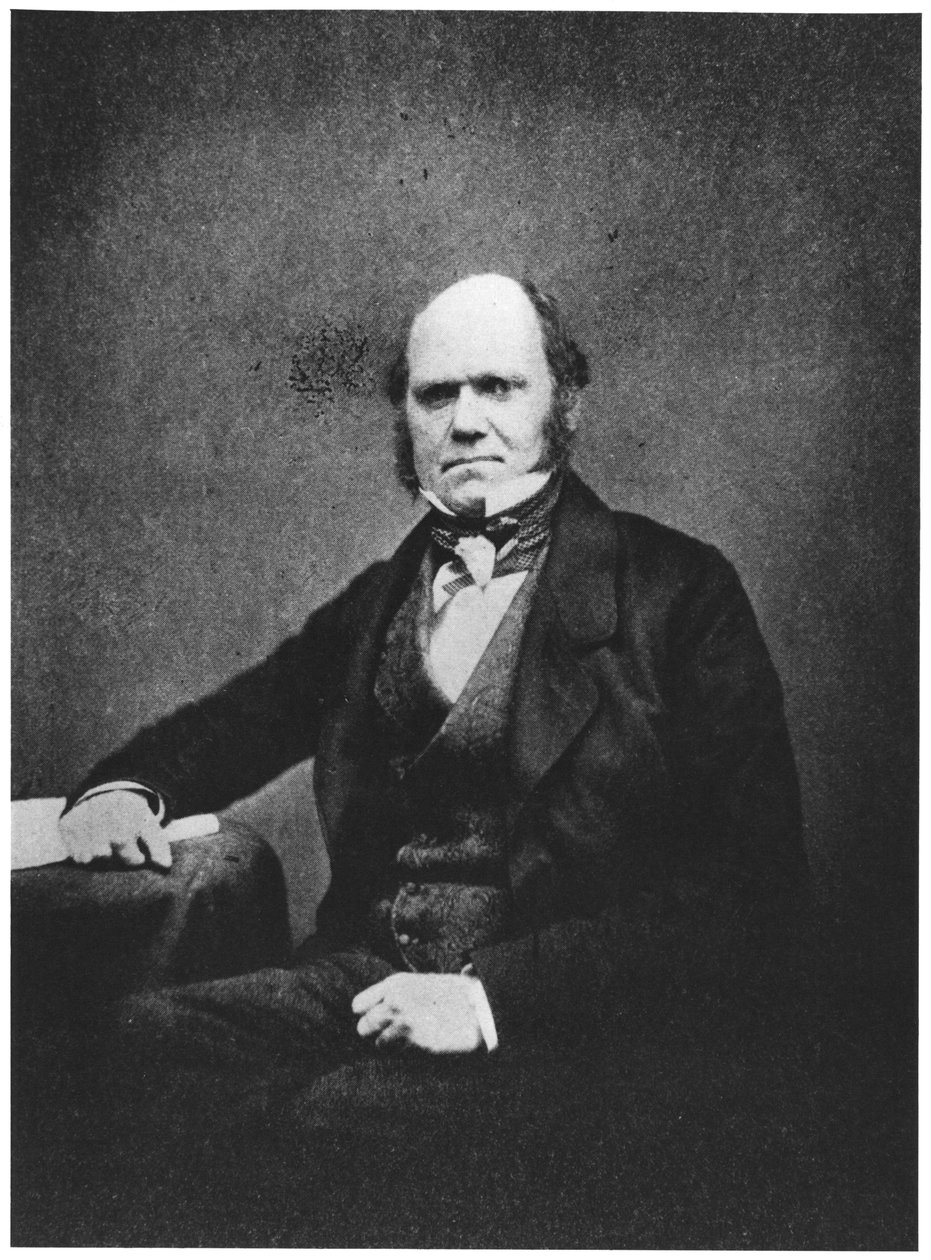 Portret Karola Darwina (1809-82) autorstwa French Photographer