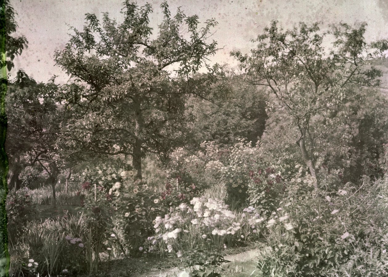 Widok Giverny, Ogród Moneta, początek lat 20. autorstwa French Photographer