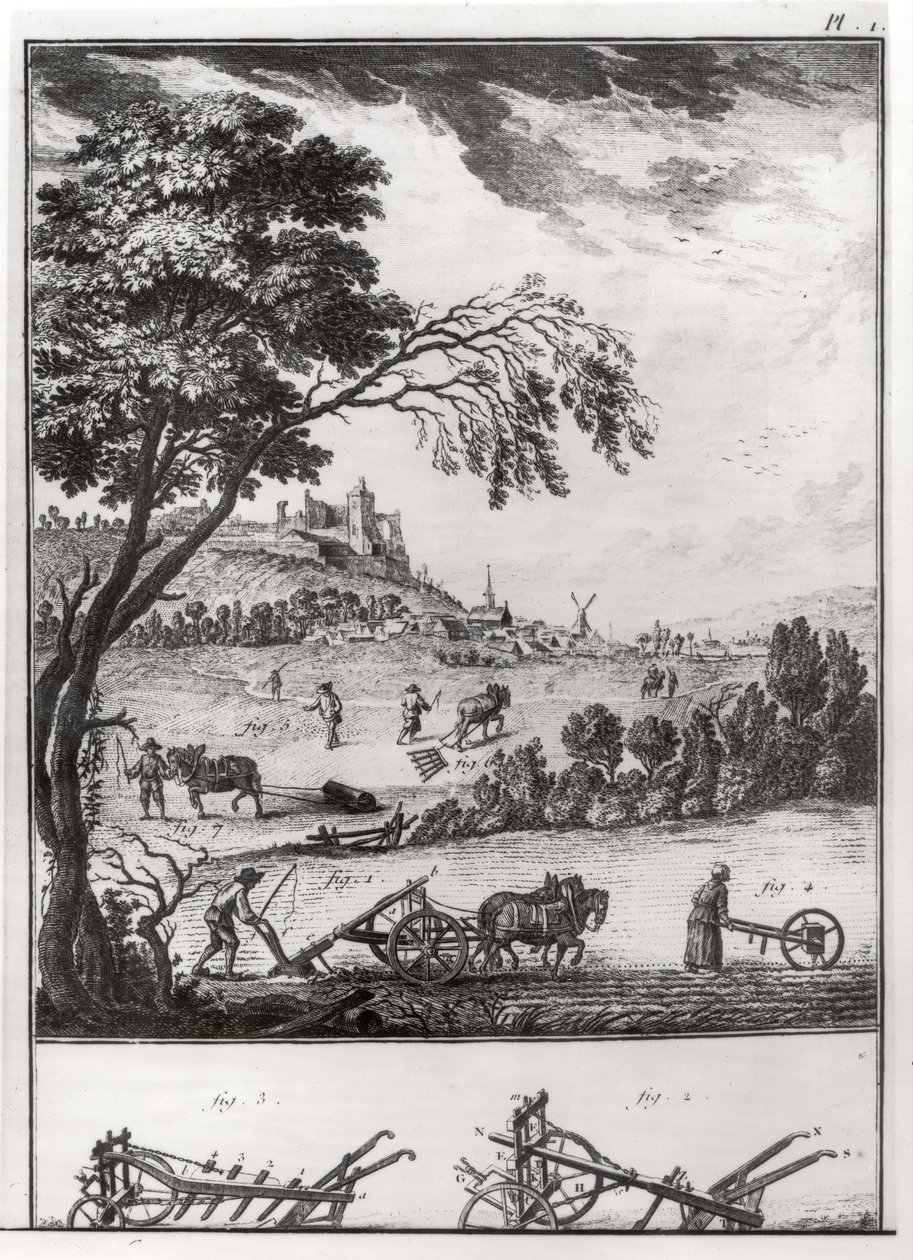 Rolnictwo, tablica I z Encyklopedii Denisa Diderota (1713-84) 1762 autorstwa French School
