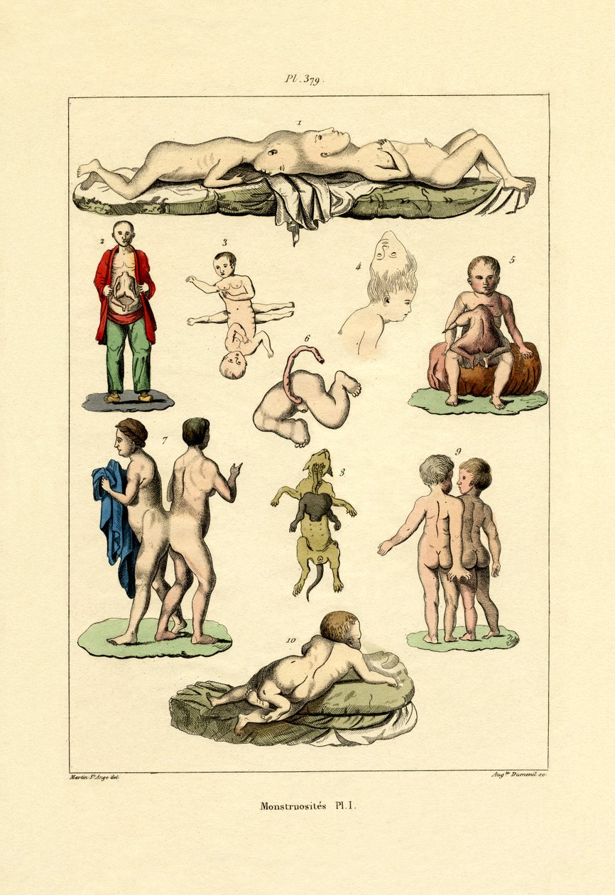 Wybryk, 1833-39 autorstwa French School