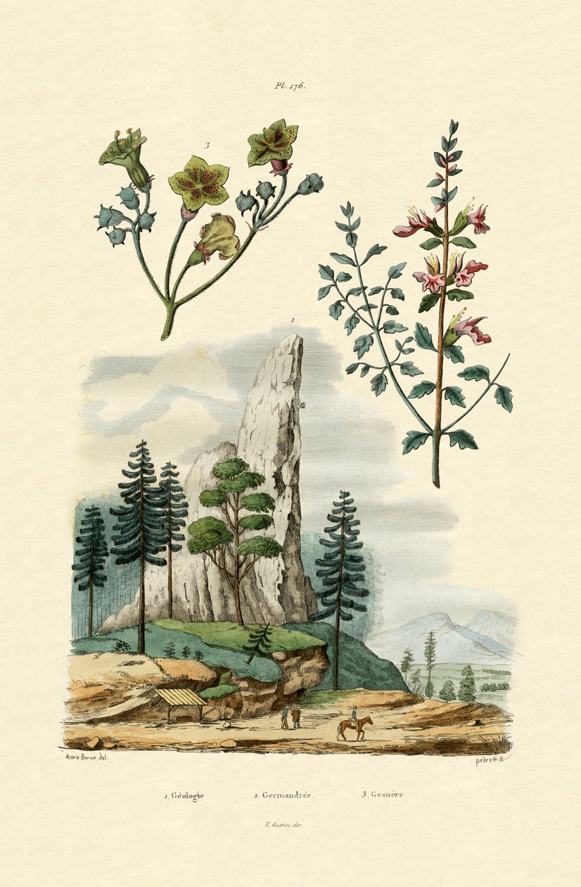 Geologia, 1833-39 autorstwa French School