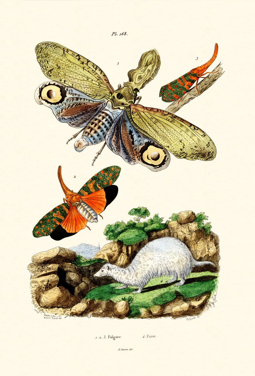 Latarnia, 1833-39 autorstwa French School