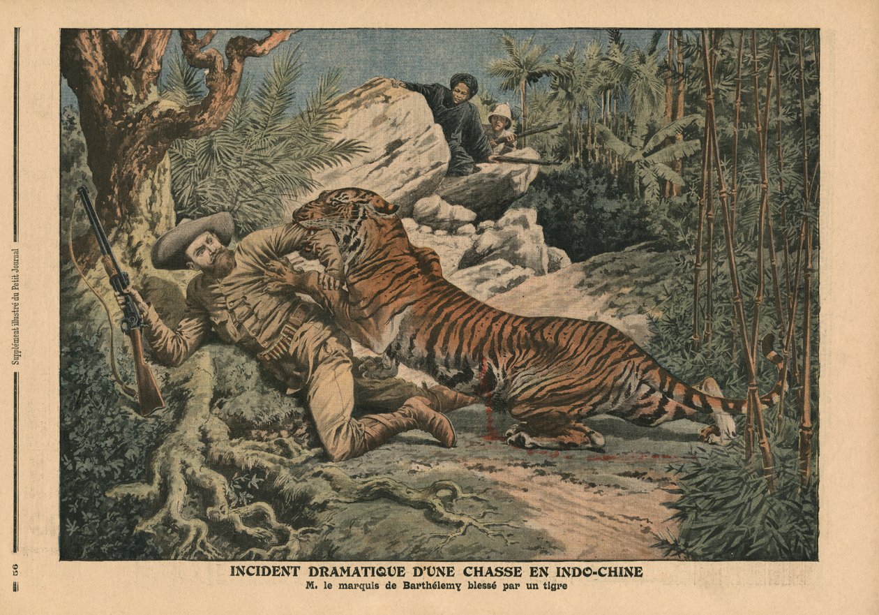 Marquis of Barthelemy zraniony przez tygrysa, ilustracja z „Le Petit Journal”, dodatek illustre, 17 lutego 1907 autorstwa French School