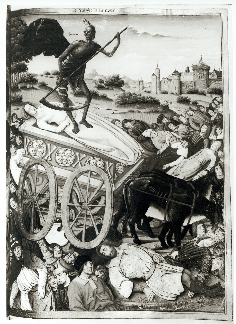 Ms.Fr.594 fol.135 Triumf śmierci z „Les Triomphes” Petrarki (1304-74) 1503 autorstwa French School